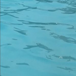 Meet your Posher, Marlen